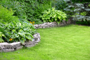 How to Landscape Your Yard While Being Environmentally Responsible